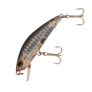 3D Inshore Minnow