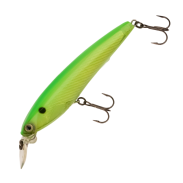 3D Minnow