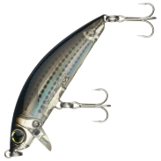 3D Inshore Surface Minnow