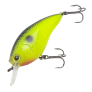 3DR-X Crank SR