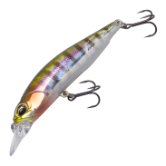 Realis Rozante