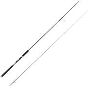 Salty Stage PT Seabass