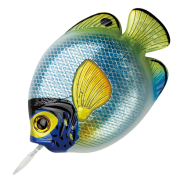 Fish Measurement Tape