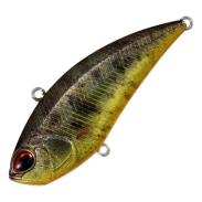 Realis Vibration Apex Tune