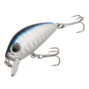 L-Minnow
