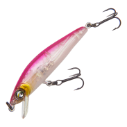 Hardcore Minnow Bass